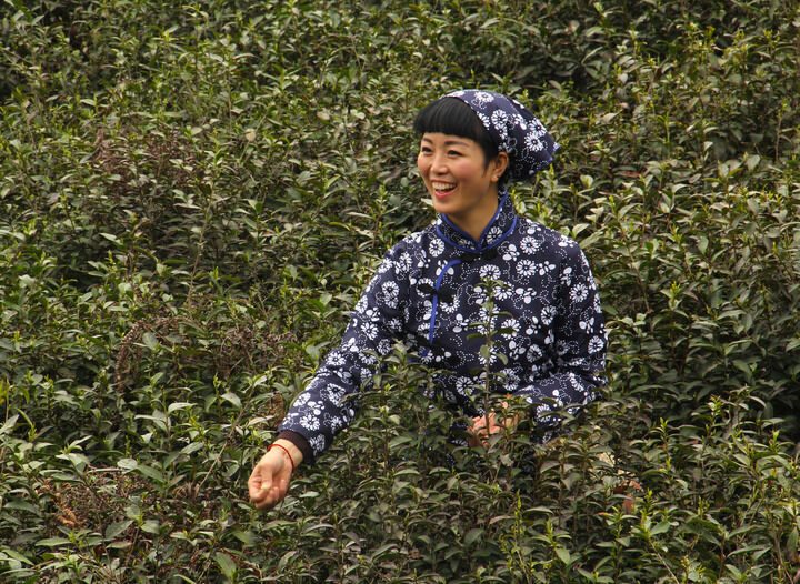 排行2
